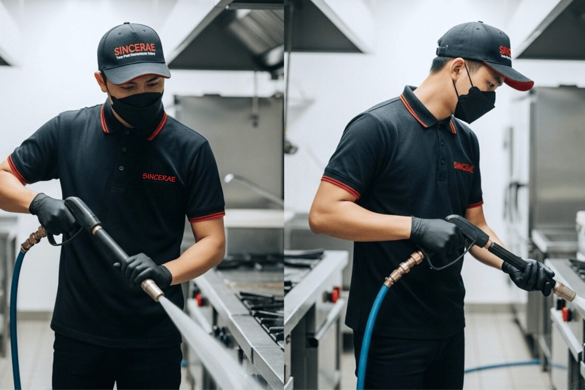 Pest Management Cleaning