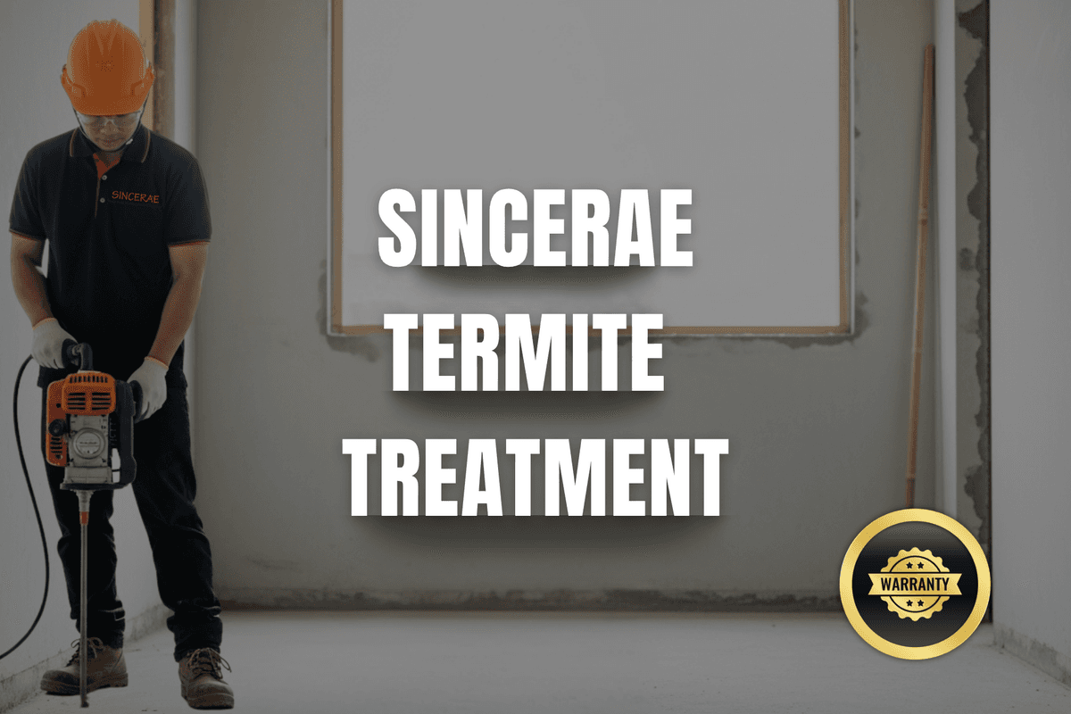 Professional termite treatment service